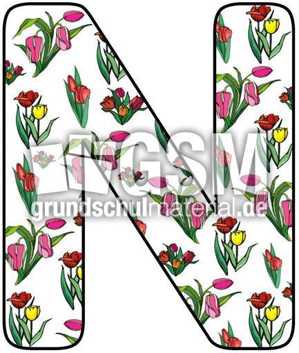 Tulpen-Buchstabe-N.jpg